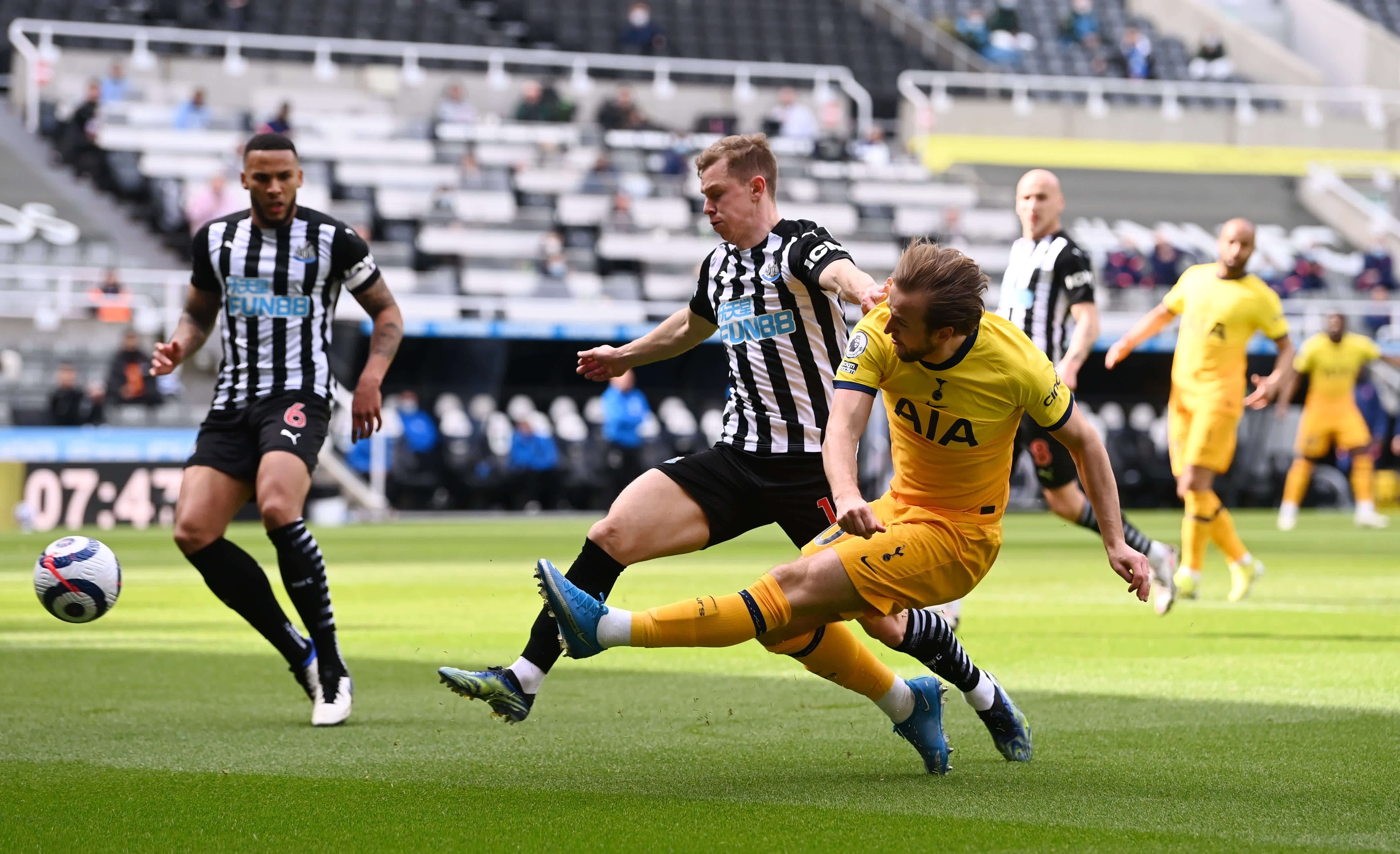 球迷和专家 球迷和专家